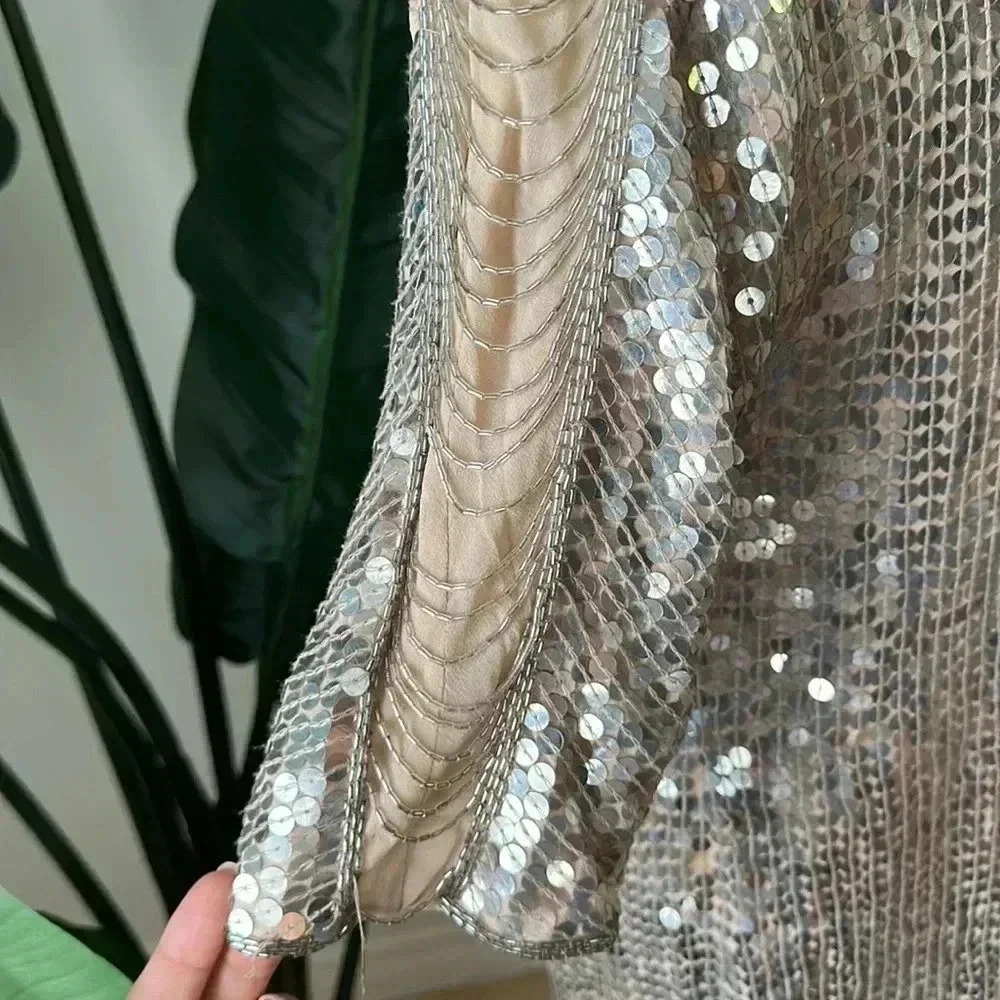 Haute Hippie XS Silver Sequence dress - Picture 5 of 12